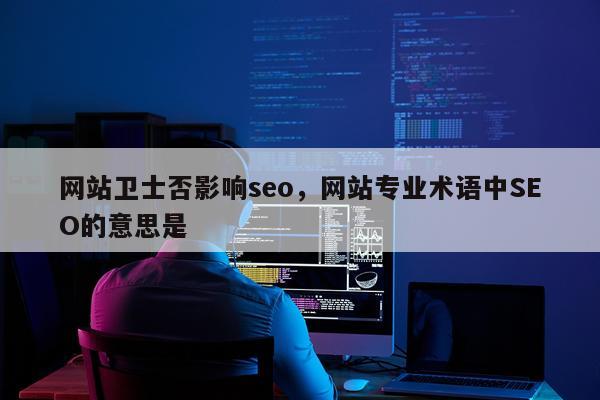 网站卫士否影响seo，网站专业术语中SEO的意思是