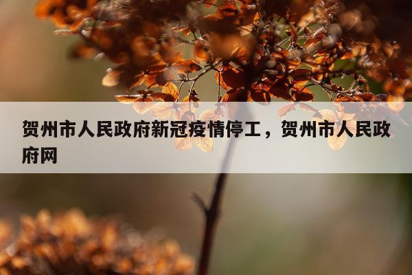 贺州市人民政府新冠疫情停工，贺州市人民政府网