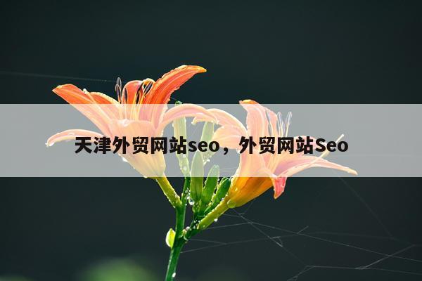 天津外贸网站seo，外贸网站Seo