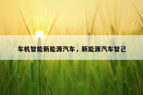 车机智能新能源汽车，新能源汽车智己
