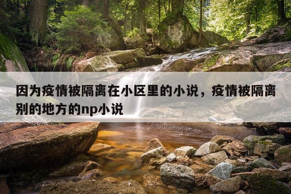 因为疫情被隔离在小区里的小说，疫情被隔离别的地方的np小说