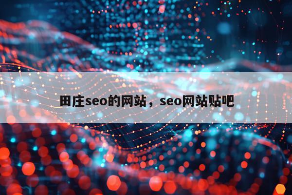 田庄seo的网站，seo网站贴吧
