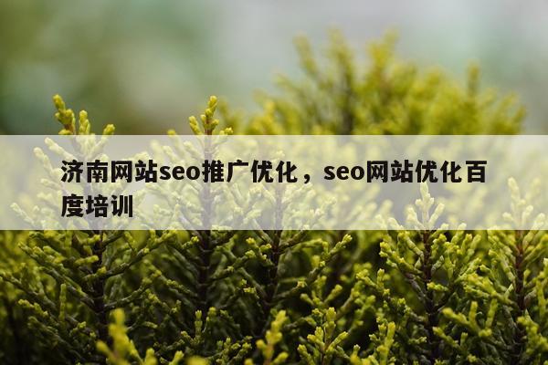 济南网站seo推广优化，seo网站优化百度培训