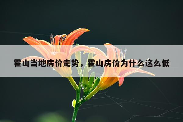 霍山当地房价走势，霍山房价为什么这么低