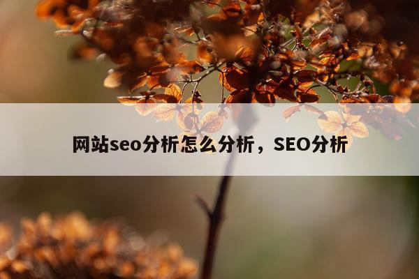 网站seo分析怎么分析，SEO分析