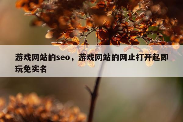游戏网站的seo，游戏网站的网止打开起即玩免实名
