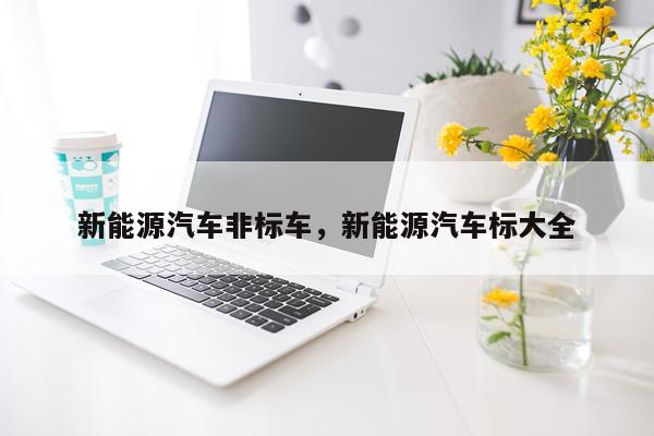 新能源汽车非标车，新能源汽车标大全