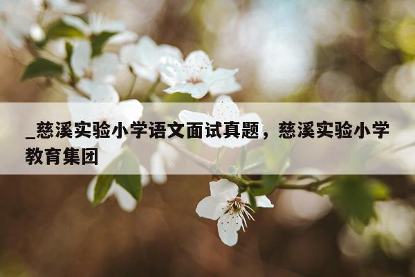 _慈溪实验小学语文面试真题，慈溪实验小学教育集团
