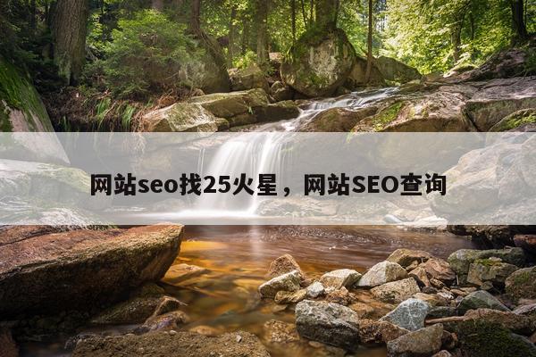 网站seo找25火星，网站SEO查询