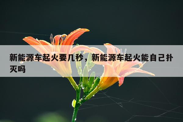 新能源车起火要几秒，新能源车起火能自己扑灭吗