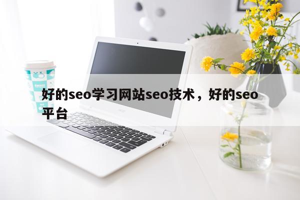 好的seo学习网站seo技术，好的seo平台