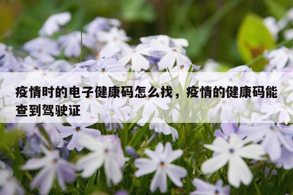 疫情时的电子健康码怎么找，疫情的健康码能查到驾驶证