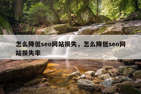 怎么降低seo网站损失，怎么降低seo网站损失率