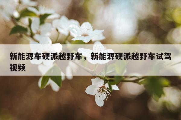 新能源车硬派越野车，新能源硬派越野车试驾视频