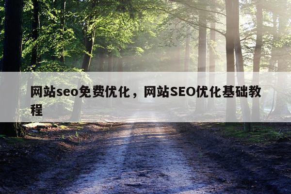网站seo免费优化，网站SEO优化基础教程