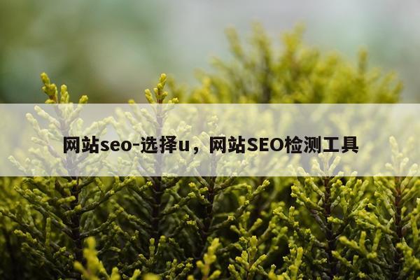 网站seo-选择u，网站SEO检测工具