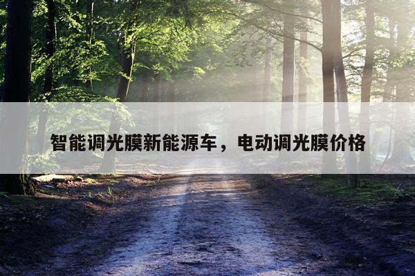 智能调光膜新能源车，电动调光膜价格