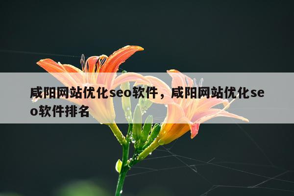 咸阳网站优化seo软件，咸阳网站优化seo软件排名