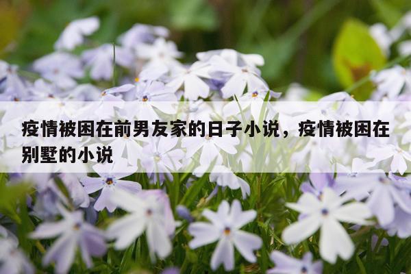 疫情被困在前男友家的日子小说，疫情被困在别墅的小说