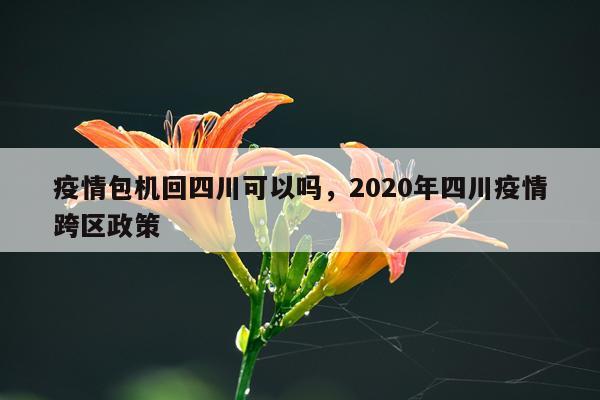 疫情包机回四川可以吗，2020年四川疫情跨区政策