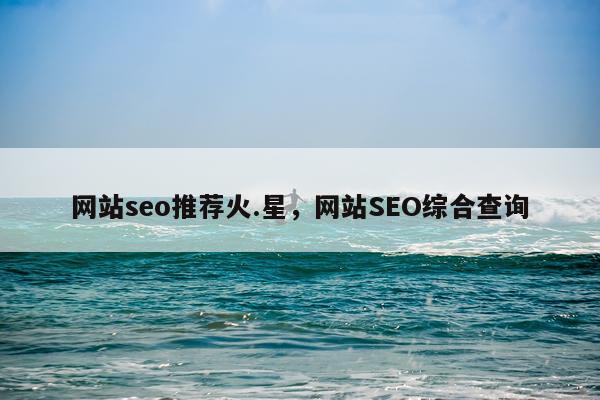 网站seo推荐火.星，网站SEO综合查询