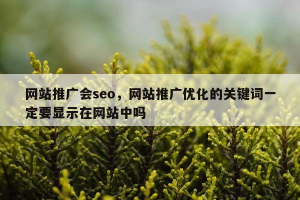 网站推广会seo，网站推广优化的关键词一定要显示在网站中吗