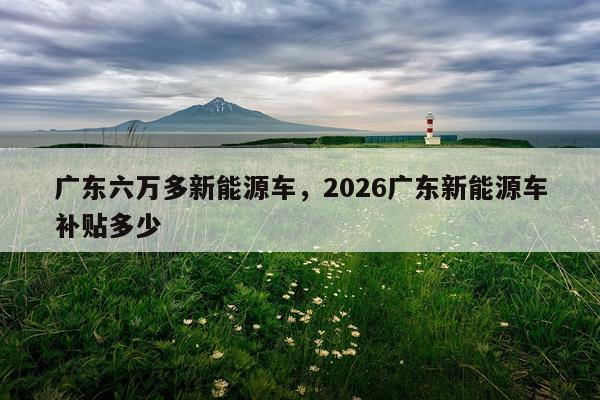 广东六万多新能源车，2026广东新能源车补贴多少