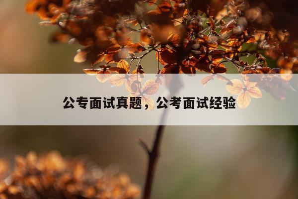公专面试真题，公考面试经验