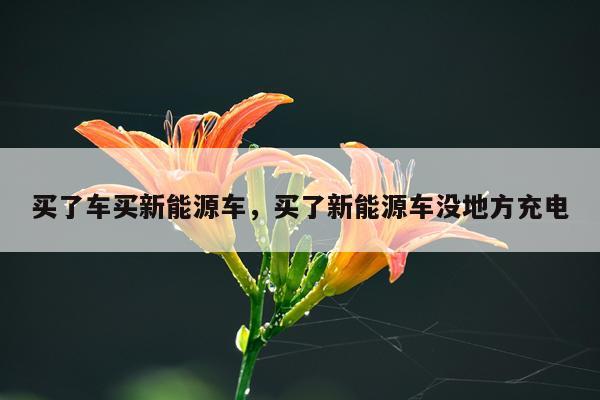 买了车买新能源车，买了新能源车没地方充电