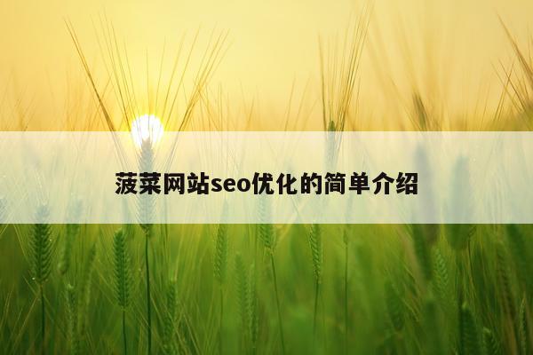 菠菜网站seo优化的简单介绍