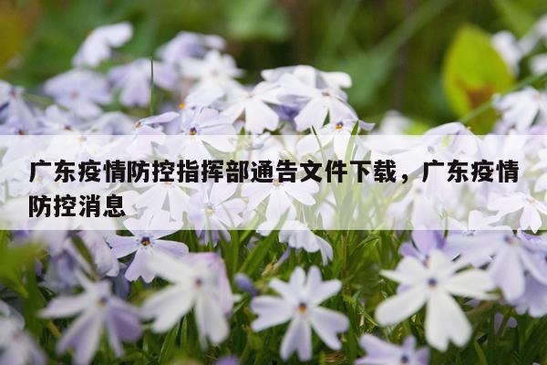 广东疫情防控指挥部通告文件下载，广东疫情防控消息