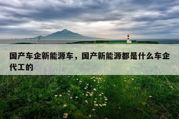 国产车企新能源车，国产新能源都是什么车企代工的