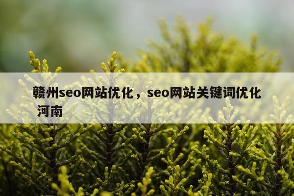 赣州seo网站优化，seo网站关键词优化 河南