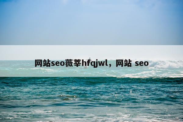 网站seo薇莘hfqjwl，网站 seo