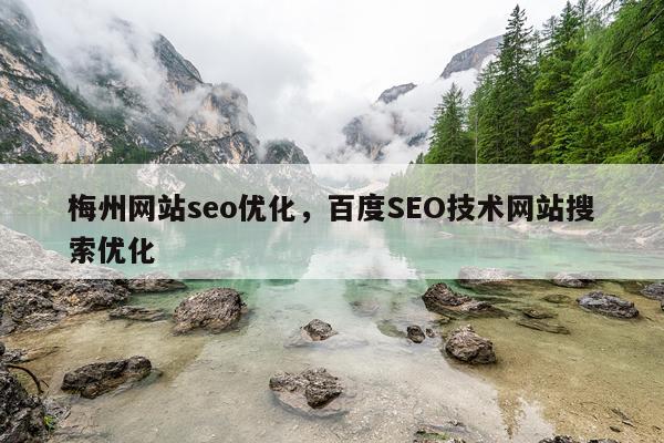 梅州网站seo优化，百度SEO技术网站搜索优化