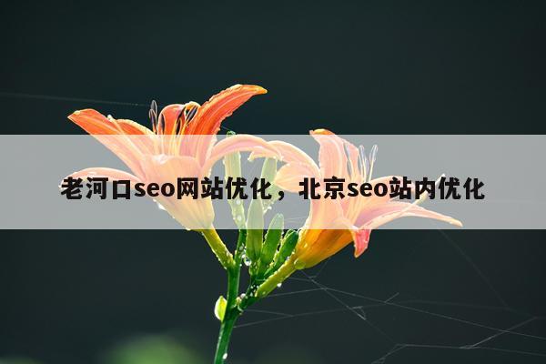 老河口seo网站优化，北京seo站内优化