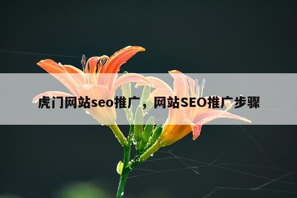 虎门网站seo推广，网站SEO推广步骤