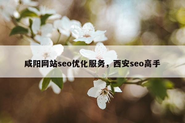 咸阳网站seo优化服务，西安seo高手