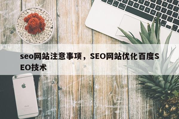 seo网站注意事项，SEO网站优化百度SEO技术