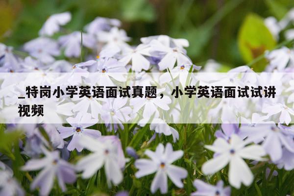 _特岗小学英语面试真题，小学英语面试试讲视频