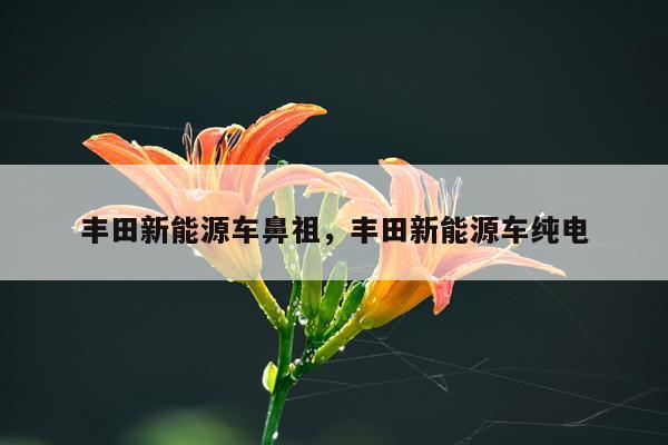 丰田新能源车鼻祖，丰田新能源车纯电