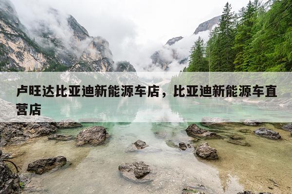 卢旺达比亚迪新能源车店，比亚迪新能源车直营店
