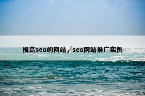 提高seo的网站，seo网站推广实例