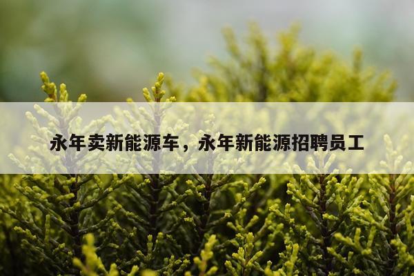 永年卖新能源车，永年新能源招聘员工