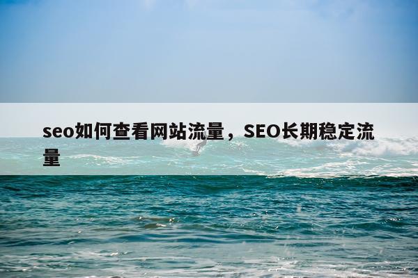 seo如何查看网站流量，SEO长期稳定流量