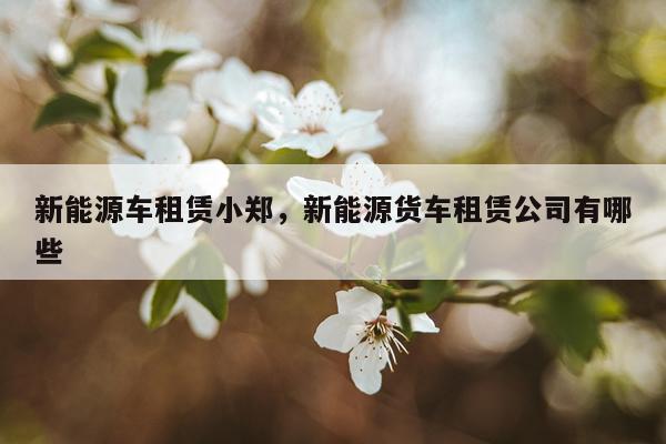 新能源车租赁小郑，新能源货车租赁公司有哪些