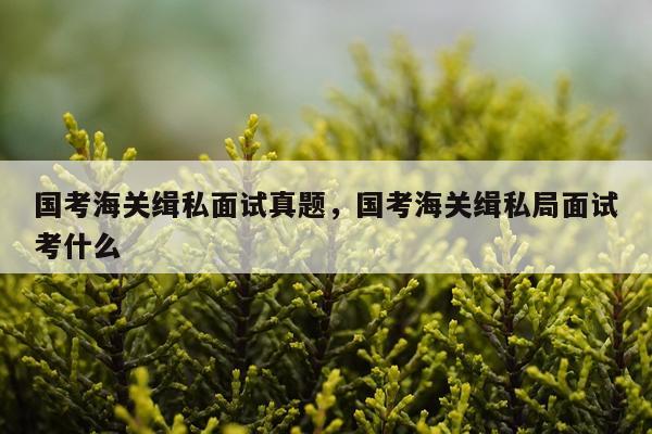 国考海关缉私面试真题，国考海关缉私局面试考什么
