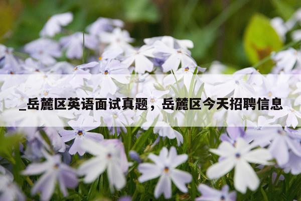 _岳麓区英语面试真题，岳麓区今天招聘信息