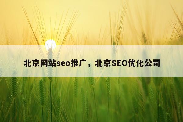 北京网站seo推广，北京SEO优化公司