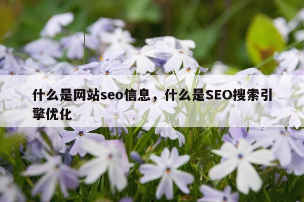 什么是网站seo信息，什么是SEO搜索引擎优化